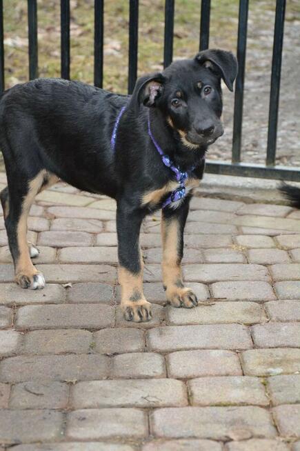 Cudna, kochana ok 4 mies sunia prosi o dom