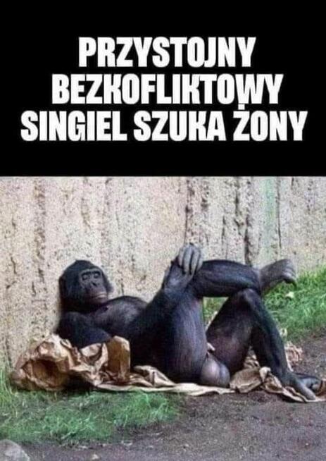 Poznam panią