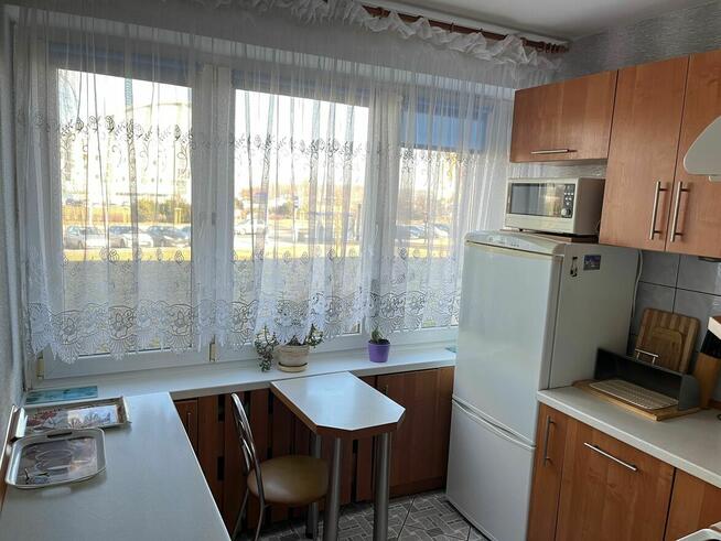 Wynajmę mieszkanie 2-pokojowe Płock