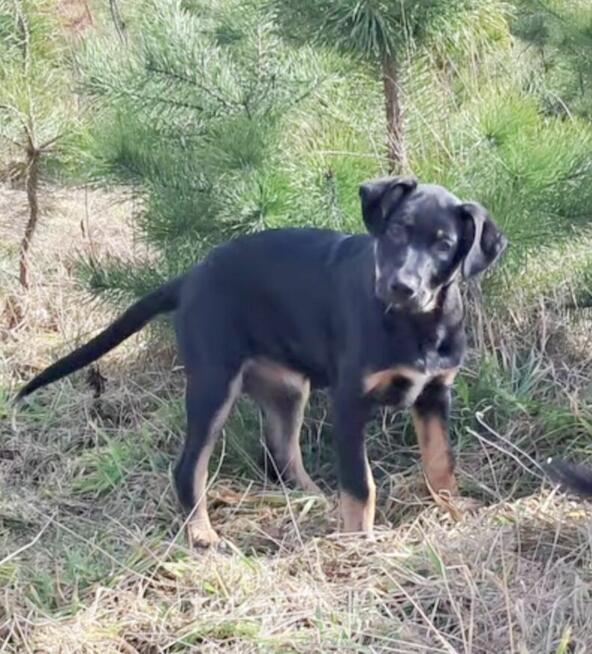 Cudna, kochana ok 4 mies sunia prosi o dom