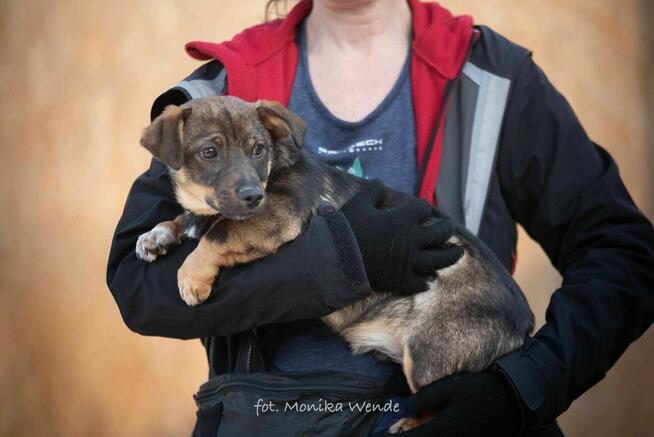 Nodi – małe serduszko, które czeka, by pokochać cały świat