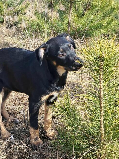 Cudna, kochana ok 4 mies sunia prosi o dom