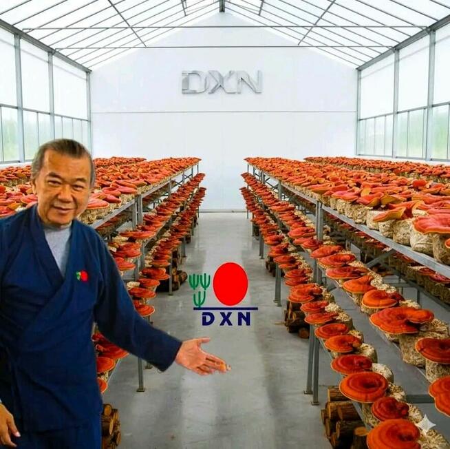 DXN Black Coffee – kawa, która dodaje energii i wspiera !!!