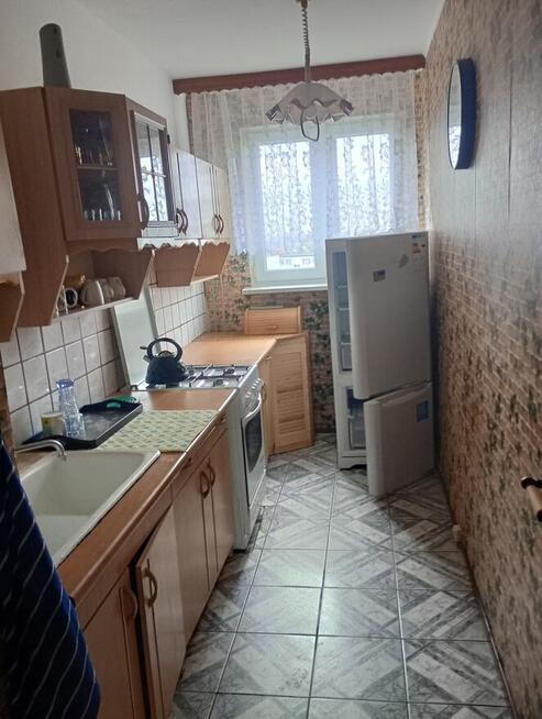 Mieszkanie do wynajęcia