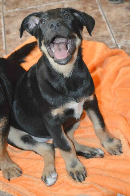 Cudna, kochana ok 4 mies sunia prosi o dom