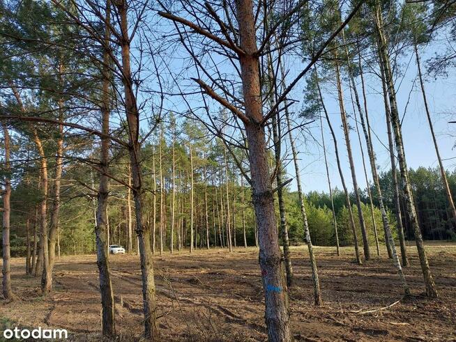 Rogóźno 1261m2 piękna działka blisko rzeki i lasu