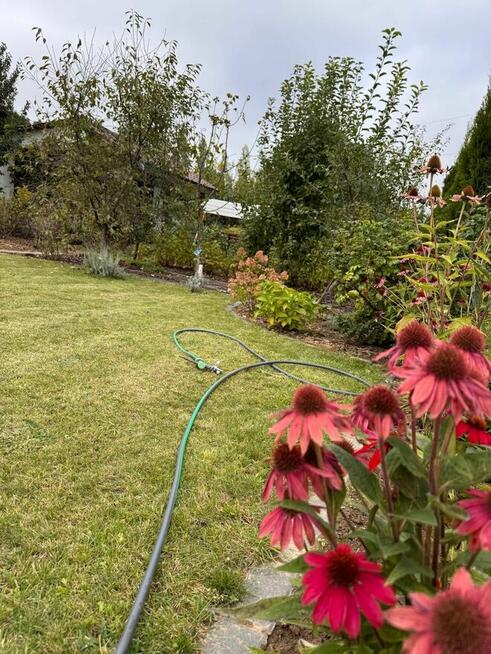 Ogródek działkowy ROD Harnaś ul. Koncertowa Lublin