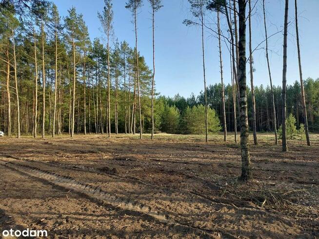 Rogóźno 1261m2 piękna działka blisko rzeki i lasu