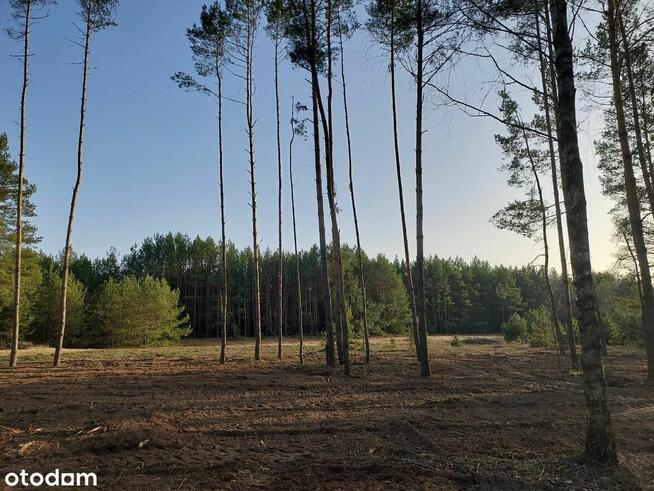 Rogóźno 1261m2 piękna działka blisko rzeki i lasu
