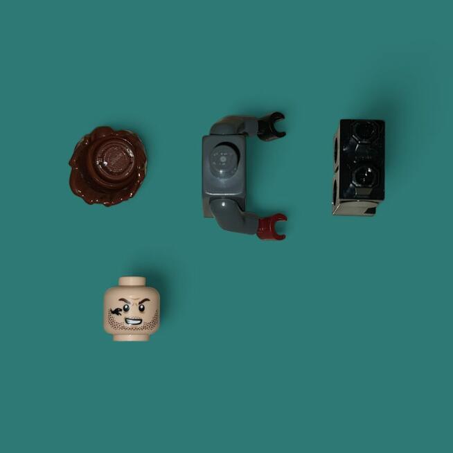 Lego Jurassic World Rainn JW077