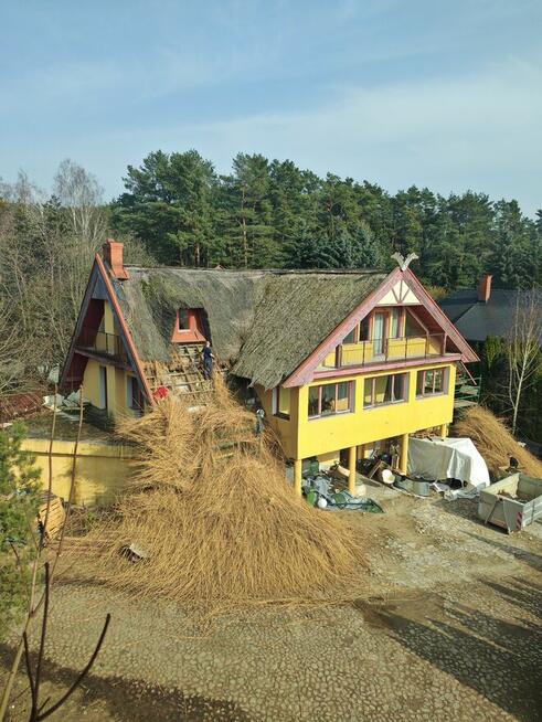 Oddam za darmo strzechę (słome, trzcinę) z dachu