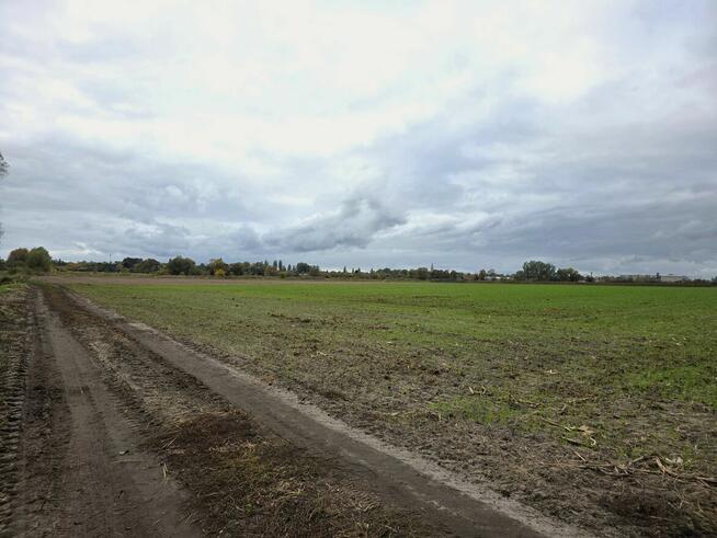 Działka przemysłowo - usługowa