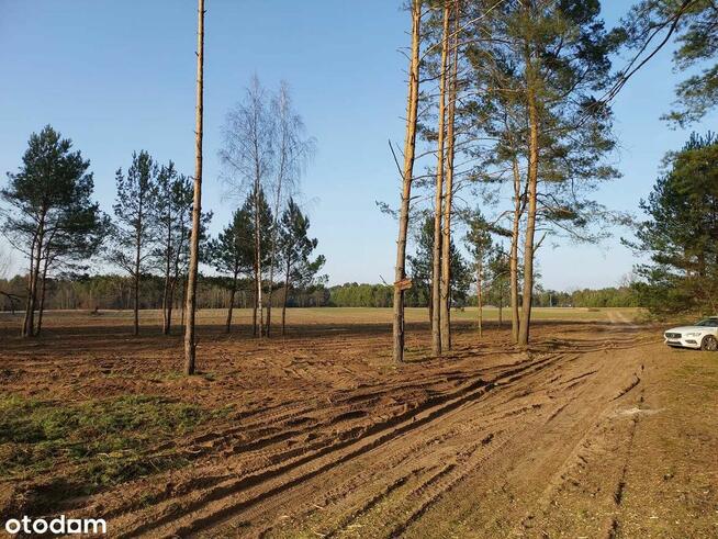 Rogóźno 1261m2 piękna działka blisko rzeki i lasu