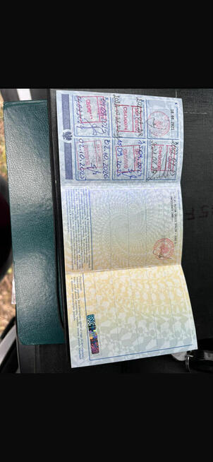 Iveco Dailly 2016 rok 10 euro palet chłodnia