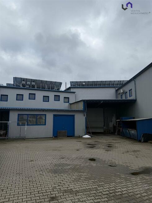 Lokal użytkowy Bielsko-Biała