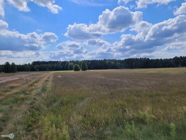 Działka rekreacyjna Kluczewsko Stanowiska