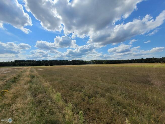 Działka rekreacyjna Kluczewsko Stanowiska