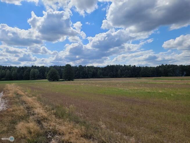 Działka rekreacyjna Kluczewsko Stanowiska