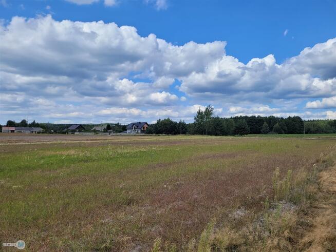 Działka rekreacyjna Kluczewsko Stanowiska