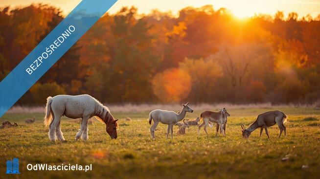 UROKLIWE MIEJSCE BLISKO NATURY