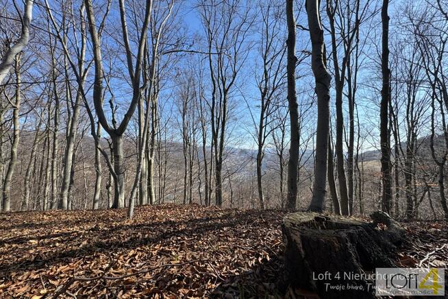 Działka budowlana Obłazy Ryterskie gm. Rytro