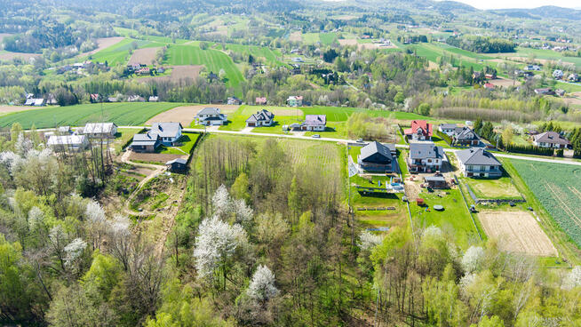 Działka z prywatnym lasem w Burzynie, gm. Tuchów!