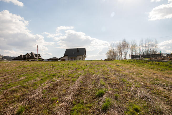 Działka z prywatnym lasem w Burzynie, gm. Tuchów!