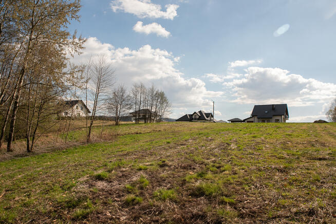 Działka z prywatnym lasem w Burzynie, gm. Tuchów!