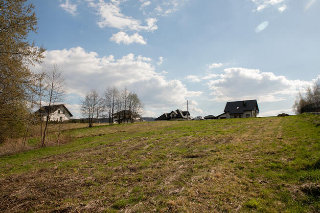 Działka z prywatnym lasem w Burzynie, gm. Tuchów!