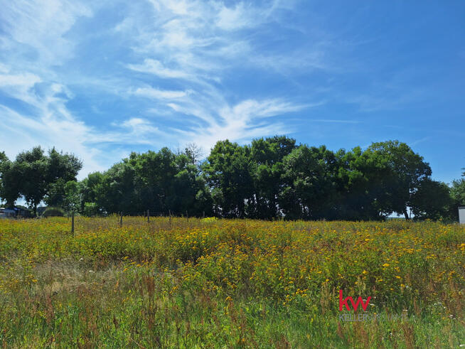 Działka budowlana Murzynowo gm. Skwierzyna,