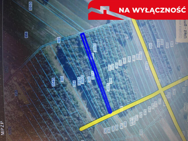 Trzy działki leśne (RL) w Podlodówce gm. Ułęż.