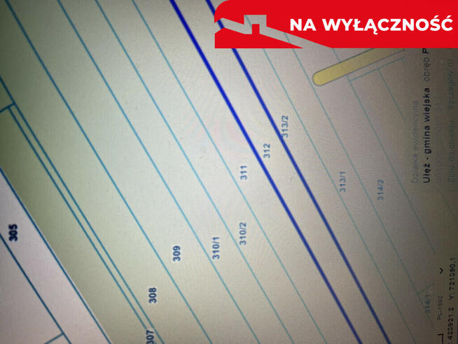 Trzy działki leśne (RL) w Podlodówce gm. Ułęż.