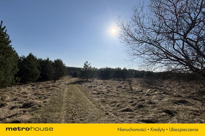 Piękna działka w Mitrędze- zamieszkaj na Jurze!