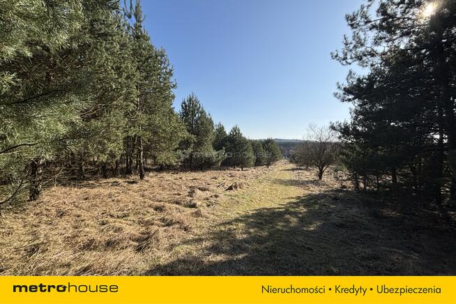 Piękna działka w Mitrędze- zamieszkaj na Jurze!