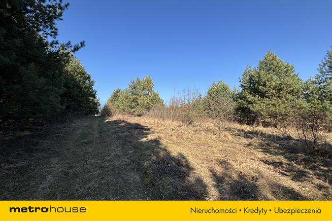 Piękna działka w Mitrędze- zamieszkaj na Jurze!