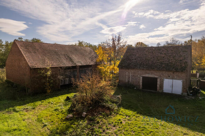 Działka rolna Dalborowice gm. Dziadowa Kłoda, Akacjowa