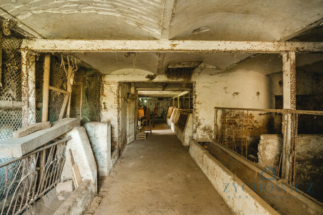 Działka rolna Dalborowice gm. Dziadowa Kłoda, Akacjowa