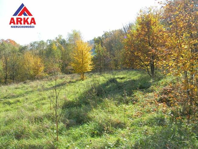 Działka usługowa Rozdziele gm. Żegocina