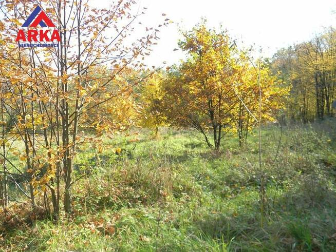 Działka usługowa Rozdziele gm. Żegocina