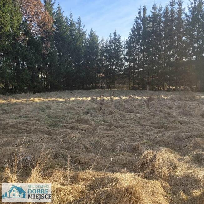 Działka Świecie Świecie