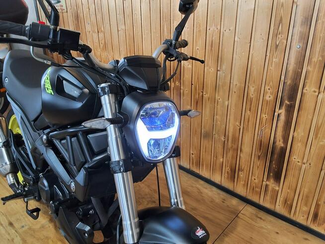 Magnus inny Przepiękny Essai magpower biggers 50 Raty oraz dowóz na całą Polskę