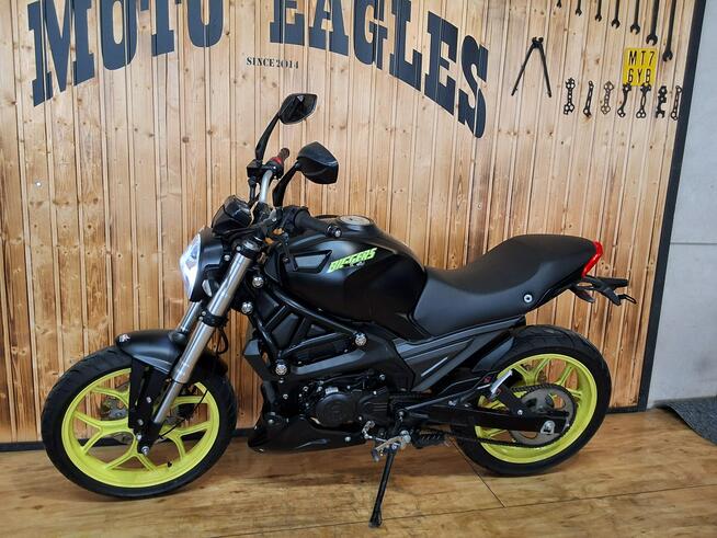 Magnus inny Przepiękny Essai magpower biggers 50 Raty oraz dowóz na całą Polskę