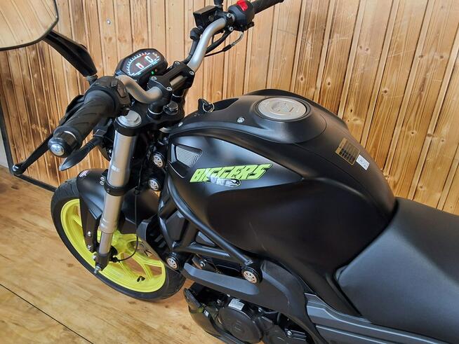 Magnus inny Przepiękny Essai magpower biggers 50 Raty oraz dowóz na całą Polskę