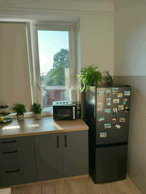 Mieszkanie Kalisz, Hoża