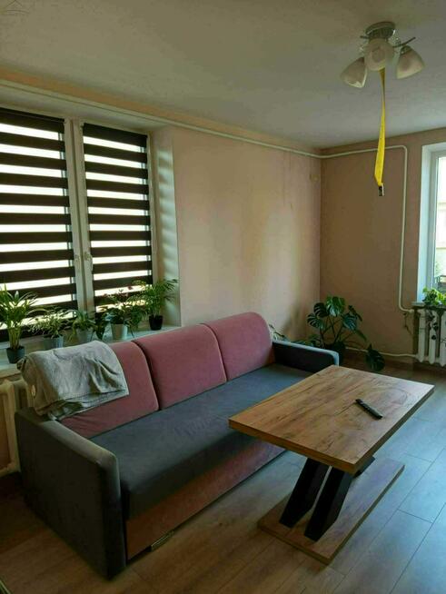 Mieszkanie Kalisz, Hoża