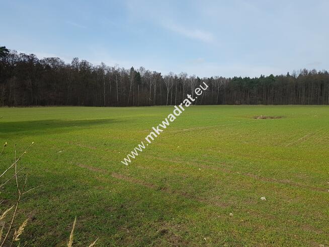 ⭐⭐⭐⭐Lux DZIAŁKA W OTULINIE LAsU Idealna cisza ⭐⭐⭐⭐