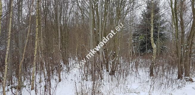 Działka usługowa z MPZP symbol U Super oferta