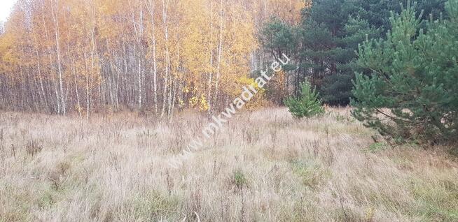 ⭐⭐⭐⭐działka siedliskowa z WZ na dom + bud.gar⭐⭐⭐⭐