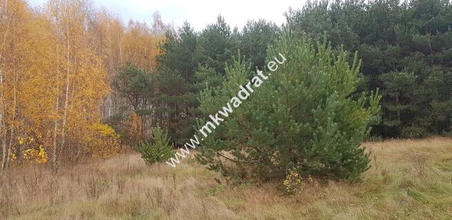 ⭐⭐⭐⭐działka siedliskowa z WZ na dom + bud.gar⭐⭐⭐⭐