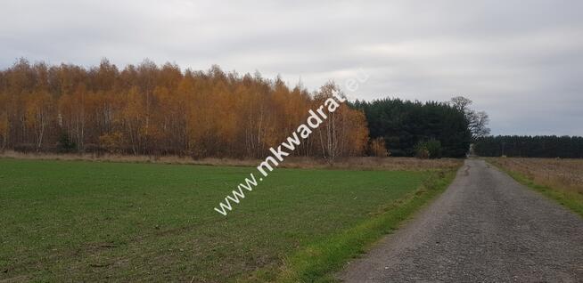 ⭐⭐⭐⭐działka siedliskowa z WZ na dom + bud.gar⭐⭐⭐⭐